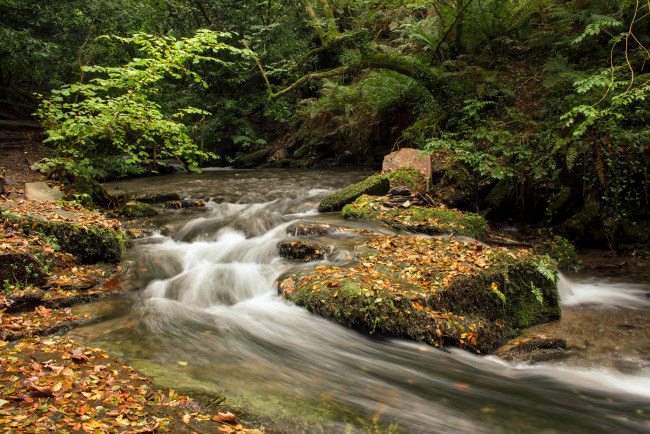 Обои картинки фото природа, реки, озера, простор