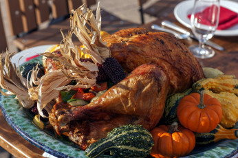 Картинка еда мясные+блюда курица