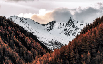 Картинка природа горы вершины