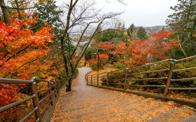 Обои картинки фото природа, парк, листопад, осень