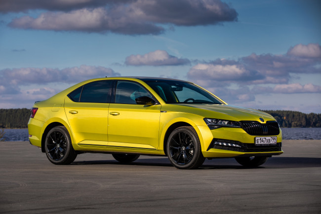 Обои картинки фото автомобили, skoda