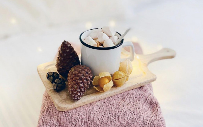 Обои картинки фото еда, конфеты,  шоколад,  мармелад,  сладости, шишки, физалис, маршмеллоу