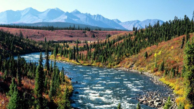 Обои картинки фото природа, реки, озера, горы, лес, река