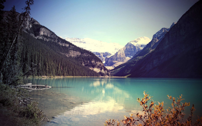 Обои картинки фото природа, реки, озера, горы, лес, озеро, кусты, коряга