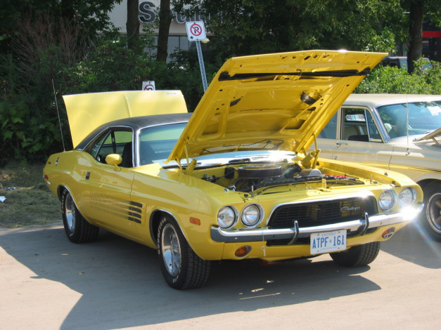 Обои картинки фото автомобили, dodge