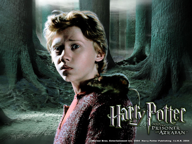 Обои картинки фото кино, фильмы, harry, potter, and, the, prisoner, of, azkaban