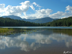 Картинка природа