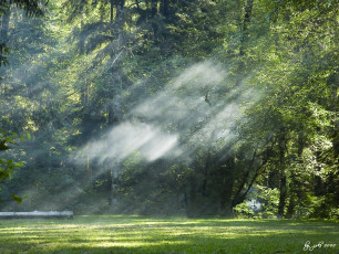 Картинка разное