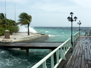 Картинка природа