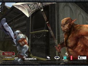 Картинка видео игры dungeons dragons online stormreach