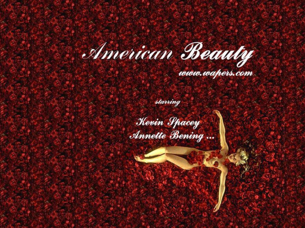 Обои картинки фото кино, фильмы, american, beauty