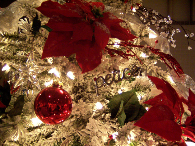 Обои картинки фото праздничные