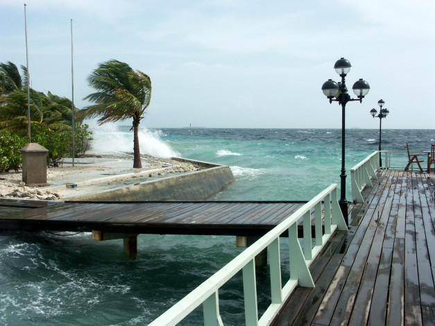 Обои картинки фото природа