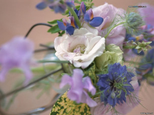 Картинка цветы разные вместе