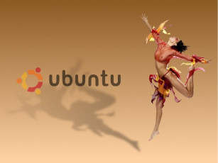 Картинка компьютеры ubuntu linux