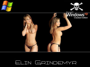 Картинка компьютеры windows xp