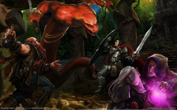 Картинка neverwinter nights storm of zehir видео игры