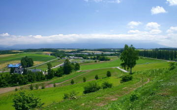 Картинка природа