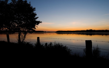 Картинка природа