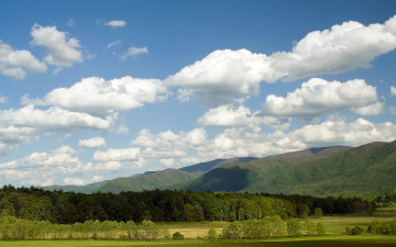 Картинка природа