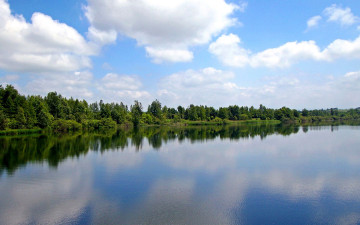 Картинка природа