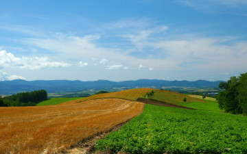 Картинка природа