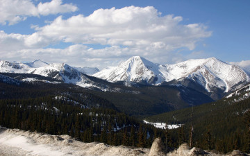 Картинка природа