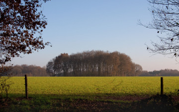 Картинка природа