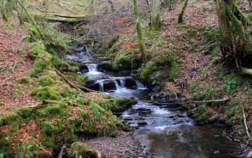 Картинка природа реки озера