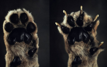 Картинка юмор приколы