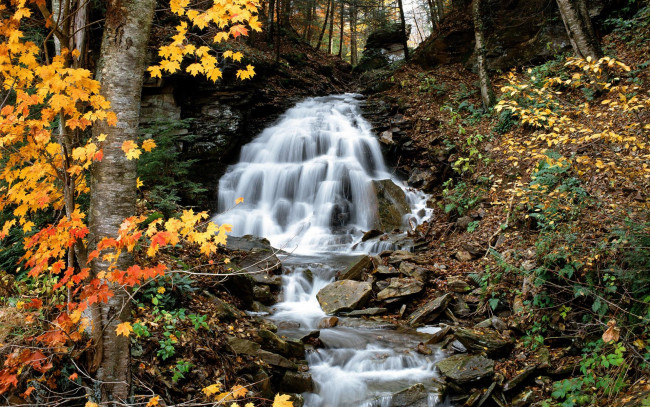 Обои картинки фото природа