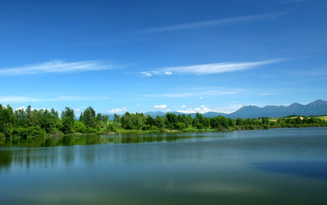 Обои картинки фото природа