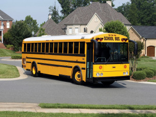 Картинка автомобили автобусы