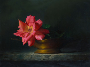 Картинка рисованные цветы