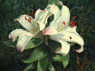 Картинка рисованные цветы