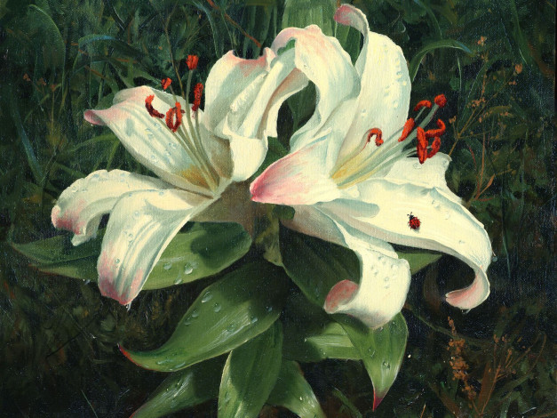 Обои картинки фото рисованные, цветы