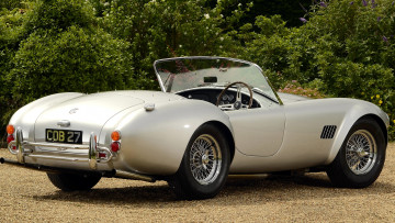 Картинка cobra автомобили ac shelby мощь скорость автомобиль стиль