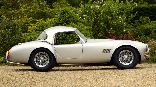 Обои картинки фото cobra, автомобили, ac, shelby, автомобиль, стиль, мощь, скорость