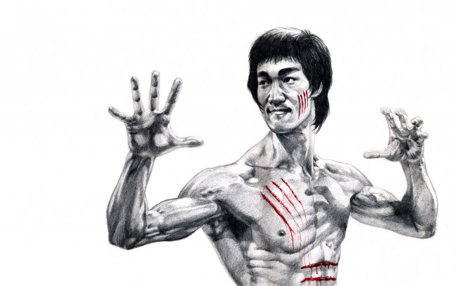 Обои картинки фото брюс, ли, рисованные, люди, bruce, lee, кровь, царапины, стойка