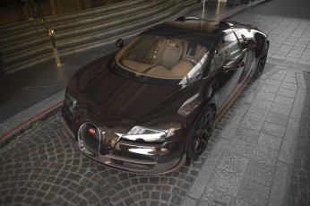 Картинка bugatti+veyron+vitesse+rembrandt+legends+edition автомобили bugatti спорткар