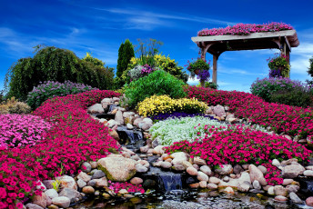 Картинка цветы разные+вместе альпийская горка