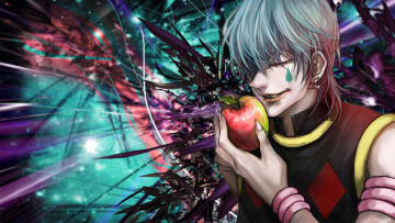 Картинка аниме hunter+x+hunter парни иллиум арт хисока