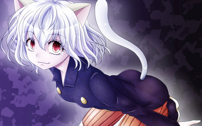 Обои картинки фото аниме, hunter x hunter, химера, девушка, ушки