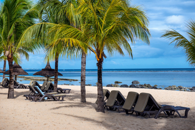 Обои картинки фото природа, тропики, пляж, пальмы