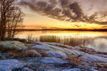 Картинка природа реки озера деревья озеро