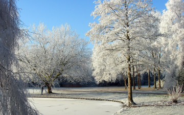 Картинка природа зима снег деревья