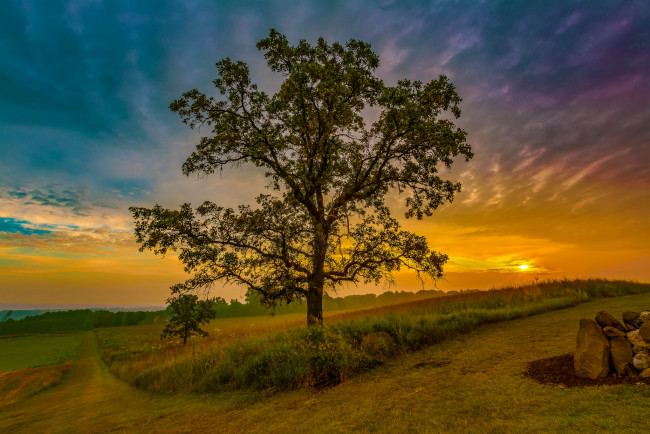 Обои картинки фото природа, восходы, закаты, рассвет