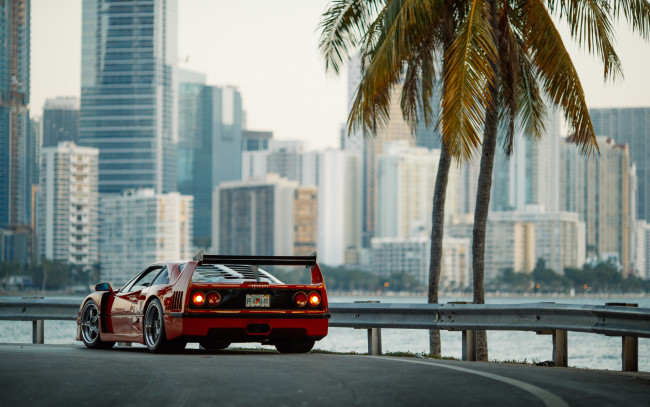 Обои картинки фото автомобили, ferrari