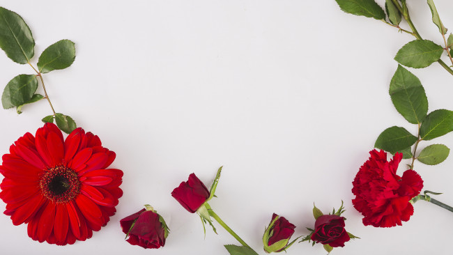 Обои картинки фото цветы, разные вместе, розы, гербера, гвоздика