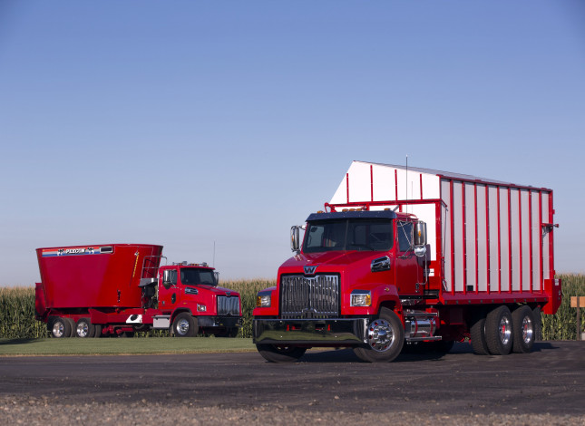 Обои картинки фото автомобили, western star, western, star